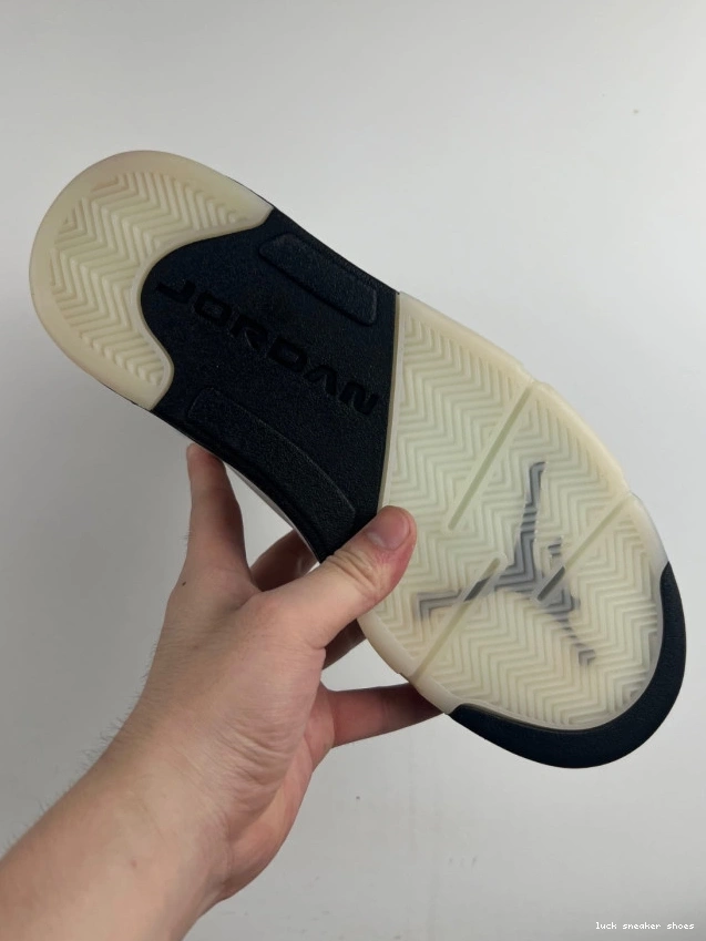 Reps LUCY 5 AIR DD0587-110 'WHITE JORDAN RETRO BLACK' 0807